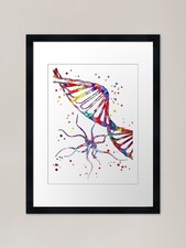 Listing image for DNA and molecule virus structure, m Framed Wall Art Poster Canvas Print Picture
