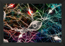 Listing image for Neural Network Watercolor Framed Wall Art Poster Canvas Print Picture