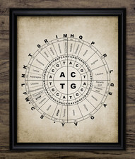 Listing image for Genetic Code Print, DNA Wall Art, Biology Student, Vintage Style Science Decor