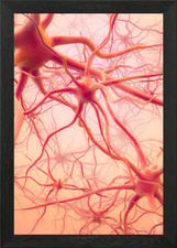 Listing image for Neural Network Framed Wall Art Poster Canvas Print Picture