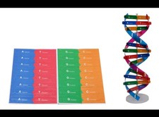 Listing image for DNA Model Double Helix Model DNA Molecular Model Kit Science Educational